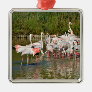 Group of flamingos in Camargue    Metal Ornament