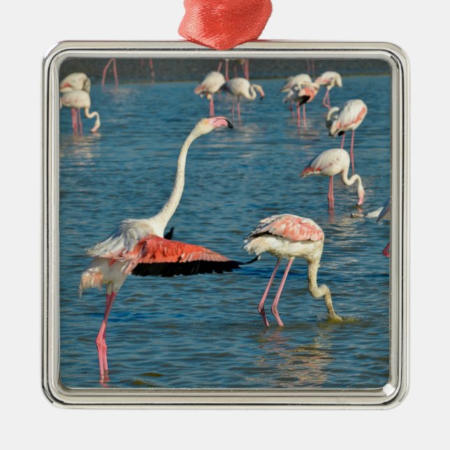 Group of flamingos in Camargue    Metal Ornament (Front)