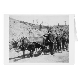 Group of Gold Prospectors Photograph