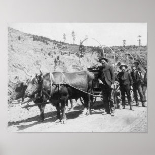 Group of Gold Prospectors Photograph Poster