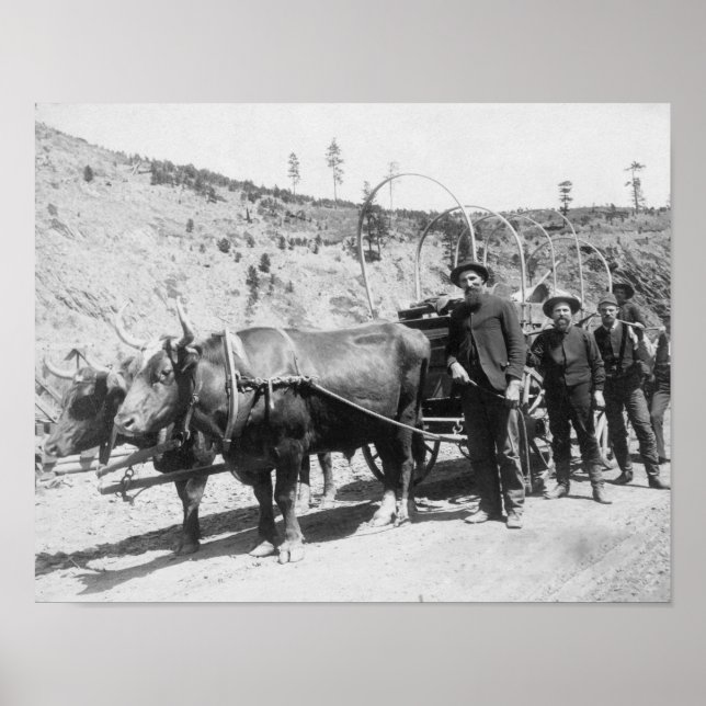 Group of Gold Prospectors Photograph Poster (Front)