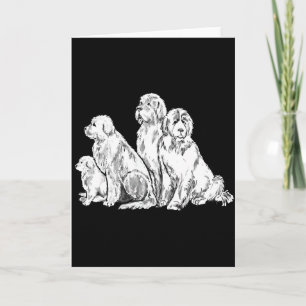 Group of Newfoundland dogs Card