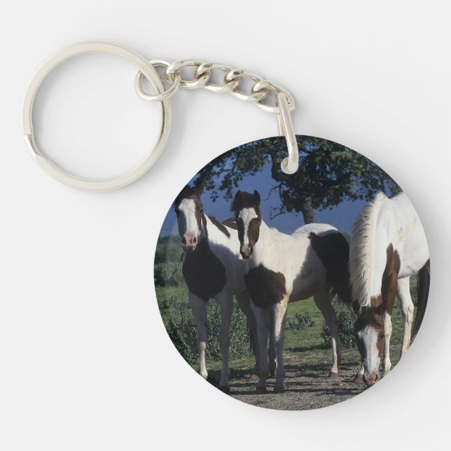 Group of Paint Horses Key Ring (Front)