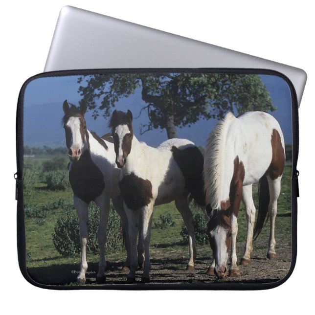 Group of Paint Horses Laptop Sleeve (Front)