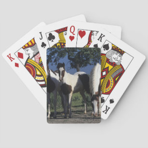 Group of Paint Horses Playing Cards