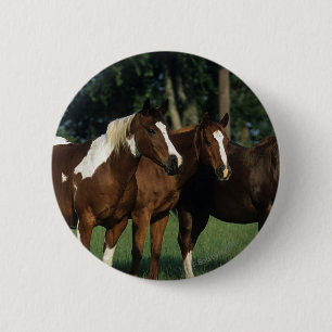 Group of Paint Horses Standing 6 Cm Round Badge