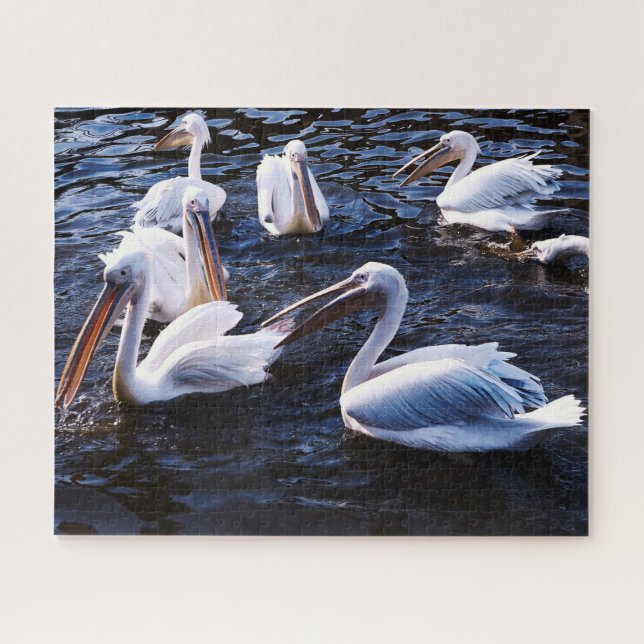 Group of Pelicans, Jigsaw Puzzle (Horizontal)