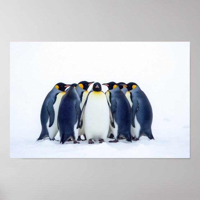 Group of Penguins Poster (Front)