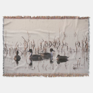 Group of Pintail Ducks Gather and Swims in a lake Throw Blanket