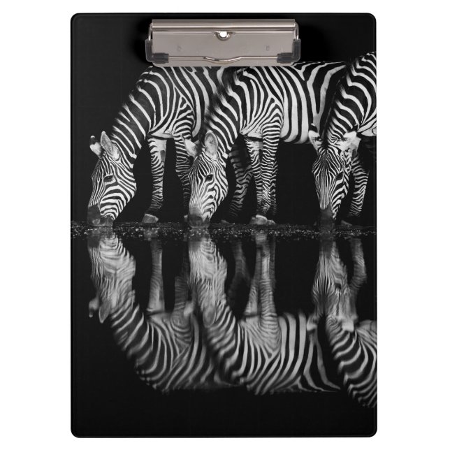 Group of Plains Zebra Drink Together at Night Clipboard (Front)