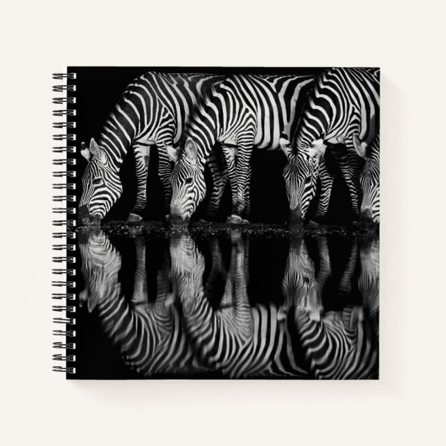 Group of Plains Zebra Drink Together at Night Notebook (Front)