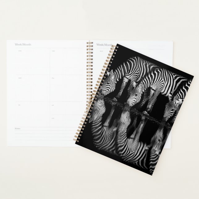 Group of Plains Zebra Drink Together at Night Planner (Display)