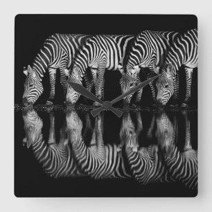 Group of Plains Zebra Drink Together at Night Square Wall Clock