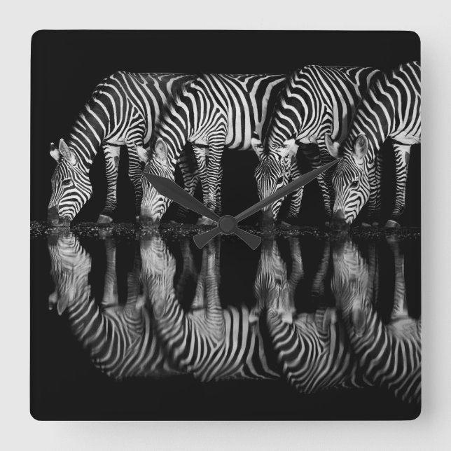 Group of Plains Zebra Drink Together at Night Square Wall Clock (Front)