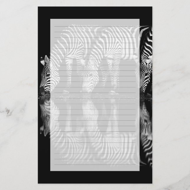 Group of Plains Zebra Drink Together at Night Stationery (Front)