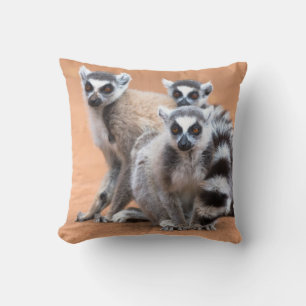 Group of Ring-Tailed Lemurs Cushion