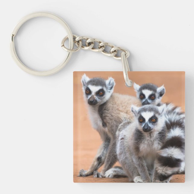 Group of Ring-Tailed Lemurs Key Ring (Front)