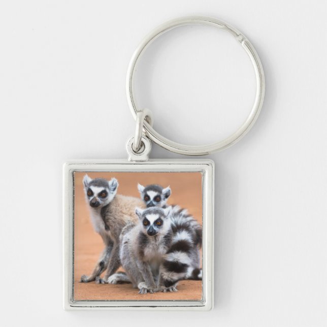 Group of Ring-Tailed Lemurs Key Ring (Front)