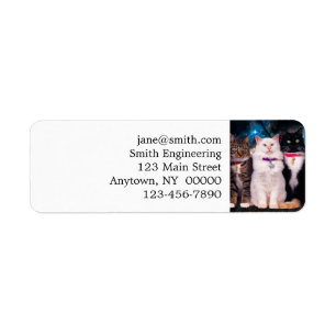 Group of sitting cats in the space return address label