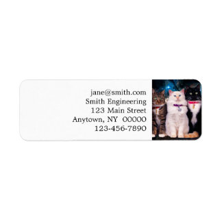 Group of sitting cats in the space return address label
