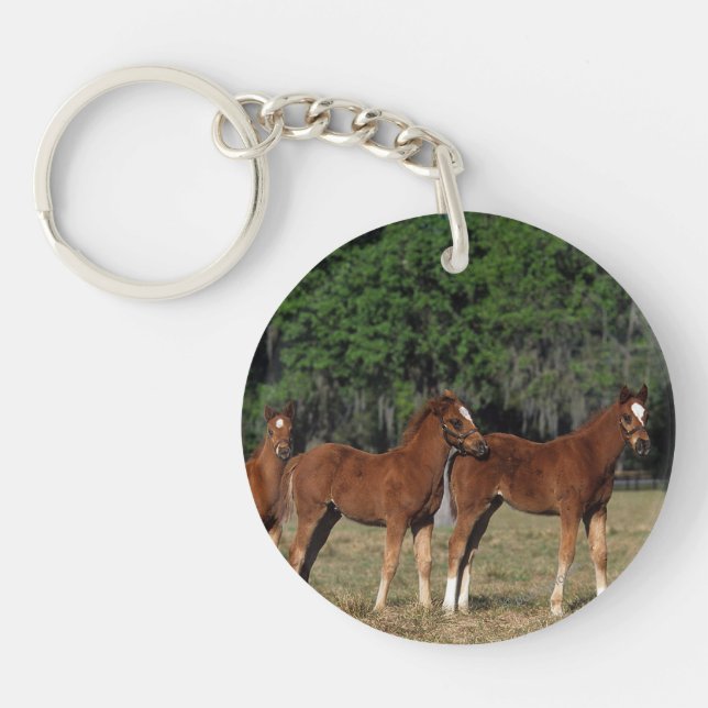 Group of Thoroughbred Foals Key Ring (Front)