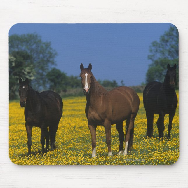 Group of Thoroughbred Horses Mouse Pad (Front)
