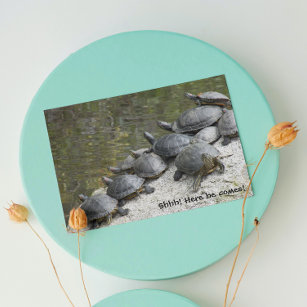 Group of Turtles on Rock Funny Birthday Card