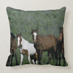 Group of Wild Mustang Horses Cushion