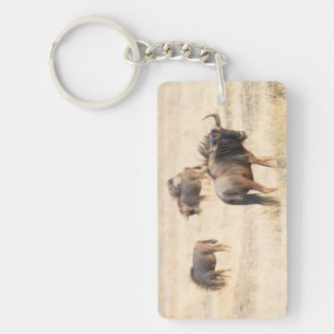 Group of wildebeest photo key ring