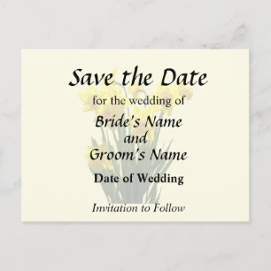 Group of Yellow Daffodils Announcement Postcard