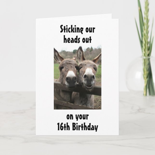 GROUP OR COUPLE DONKEY HAPPY *16th*  Birthday Card (Front)