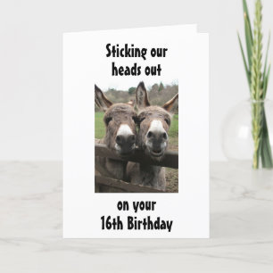 GROUP OR COUPLE DONKEY HAPPY *16th*  Birthday Card