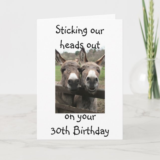 GROUP OR COUPLE DONKEY HAPPY 30th BRITHDAY Card (Front)