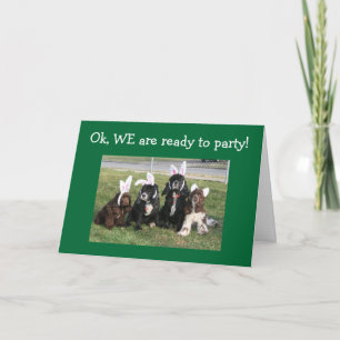 GROUP READY TO PARTY-ARE YOU 40th Card