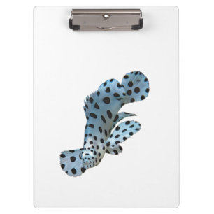 Grouper - Abstract Design - Cut out of a photo    Clipboard
