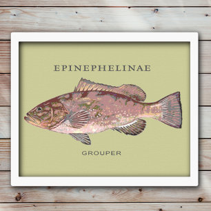 Grouper Fish Illustration Poster