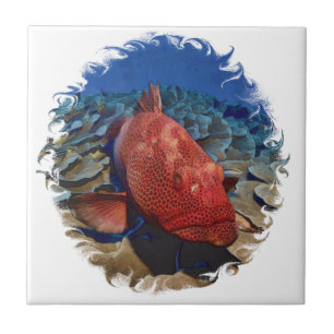 Grouper Fish On Coral Ceramic Tile