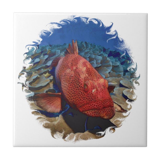 Grouper Fish On Coral Ceramic Tile (Front)