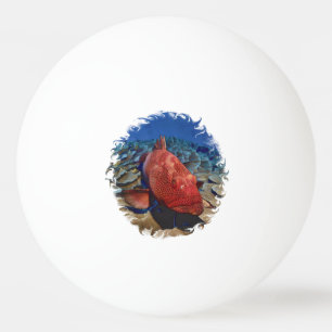 Grouper Fish On Coral Golf Balls Golf Ball Marker