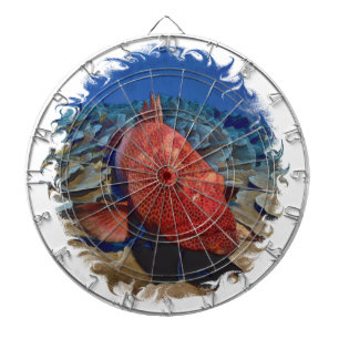Grouper Fish On Coral Golf Balls Golf Ball Marker Dartboard