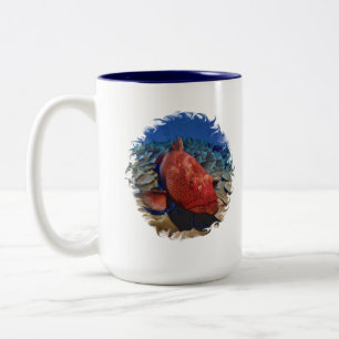 Grouper Fish On Coral Two-Tone Coffee Mug