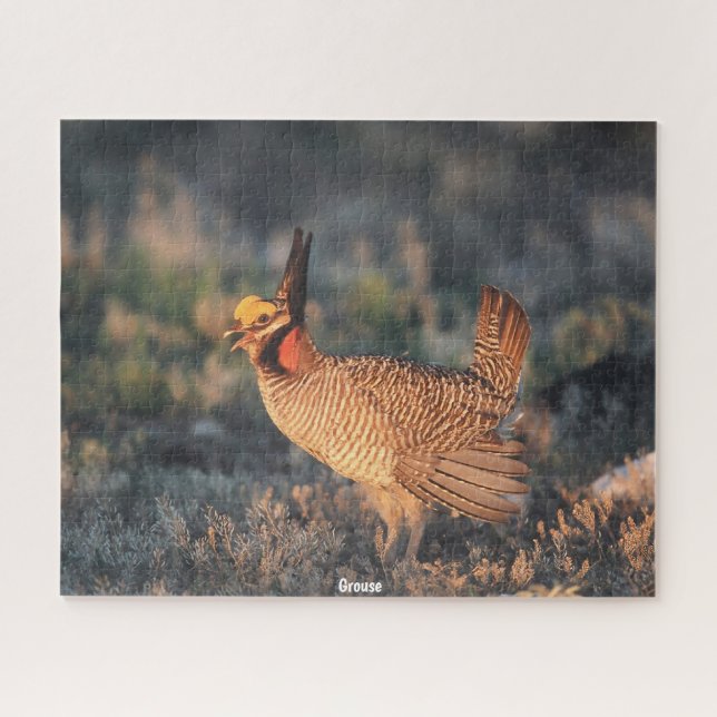 Grouse Jigsaw Puzzle (Horizontal)