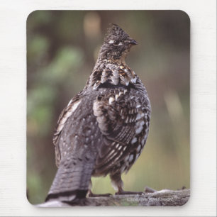 Grouse Mouse Pad