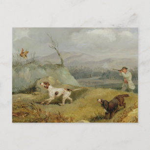 Grouse Shooting (oil on canvas) Postcard