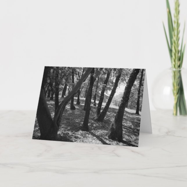 Grove at Hopland Station, 1966 Card (Front)