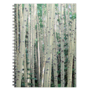 Grove of Mountain Aspen Trees Notebook