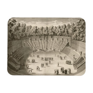 Grove of the Salle du Bal, Versailles, from 'Les P Magnet