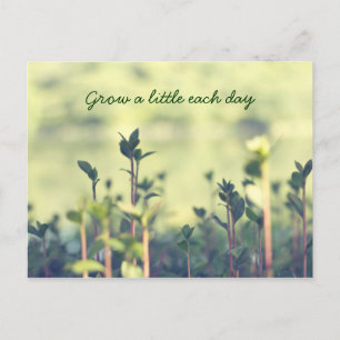 Grow A Little Each Day Inspirational Shoots Greens Postcard