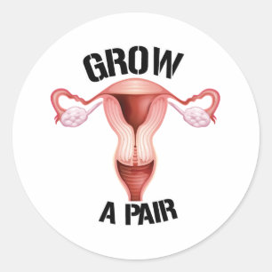 Grow a pair of ovaries classic round sticker