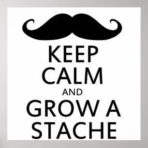 Grow a Stache Poster